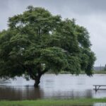 Keine Einschränkung durch Hochwasser in Passau und Eggenfelden
